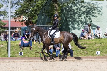 Bild 687 - Pony Akademie Turnier